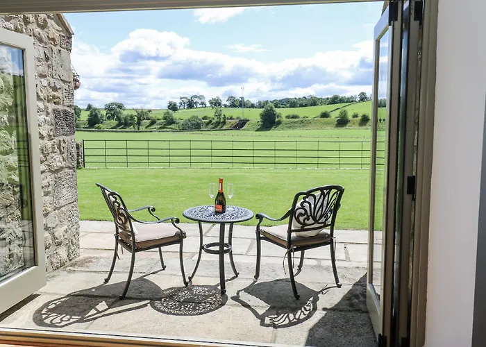 Crane Field Laithe * Airton